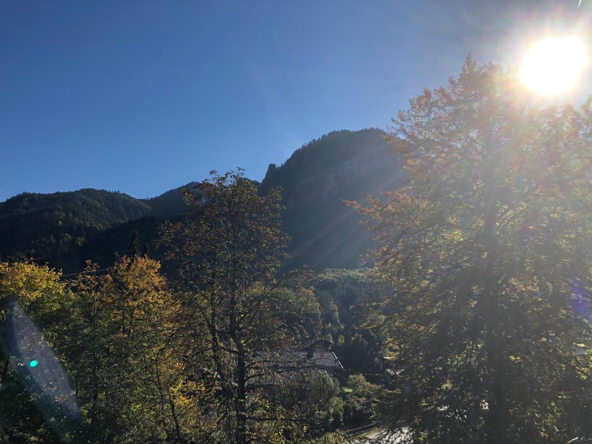 Top-Appartement Direkt An Der Kampenwandbahn Aschau im Chiemgau Exterior foto